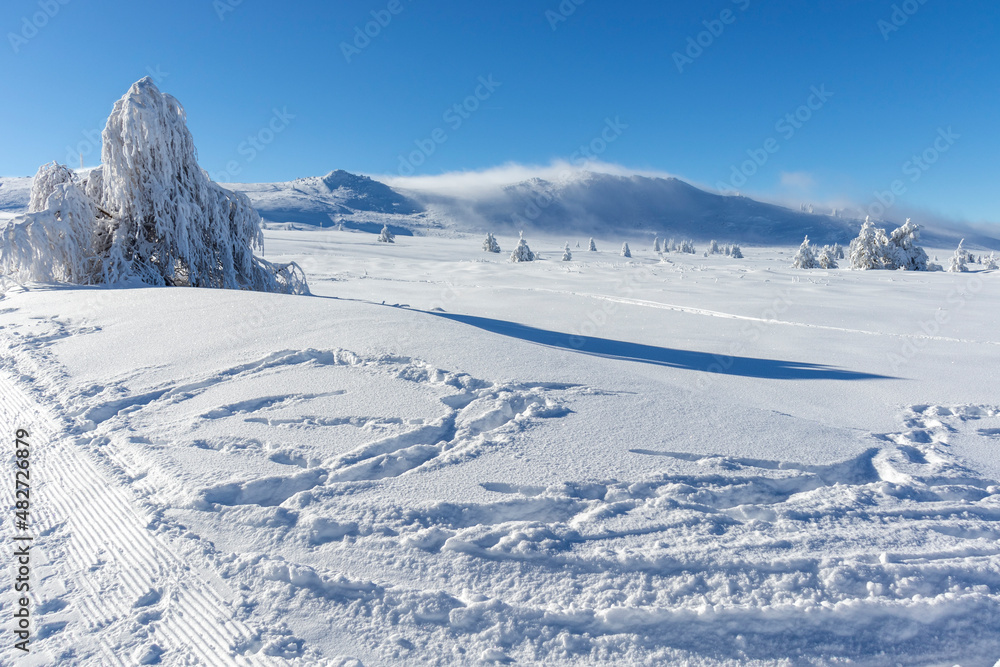 Obraz premium Winter landscape of Vitosha Mountain, Bulgaria