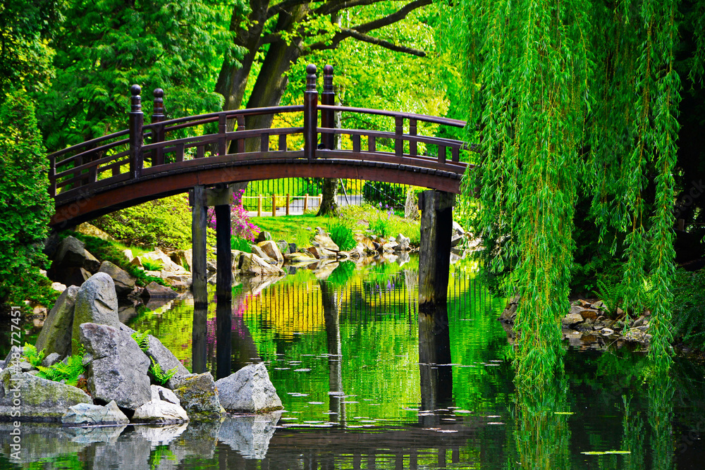 Fototapeta premium drewniany most nad wodą w ogrodzie, ogród japoński nad wodą, japanese garden, designer garden 