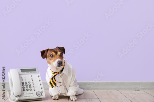 Business dog with telephone near color wall © Pixel-Shot