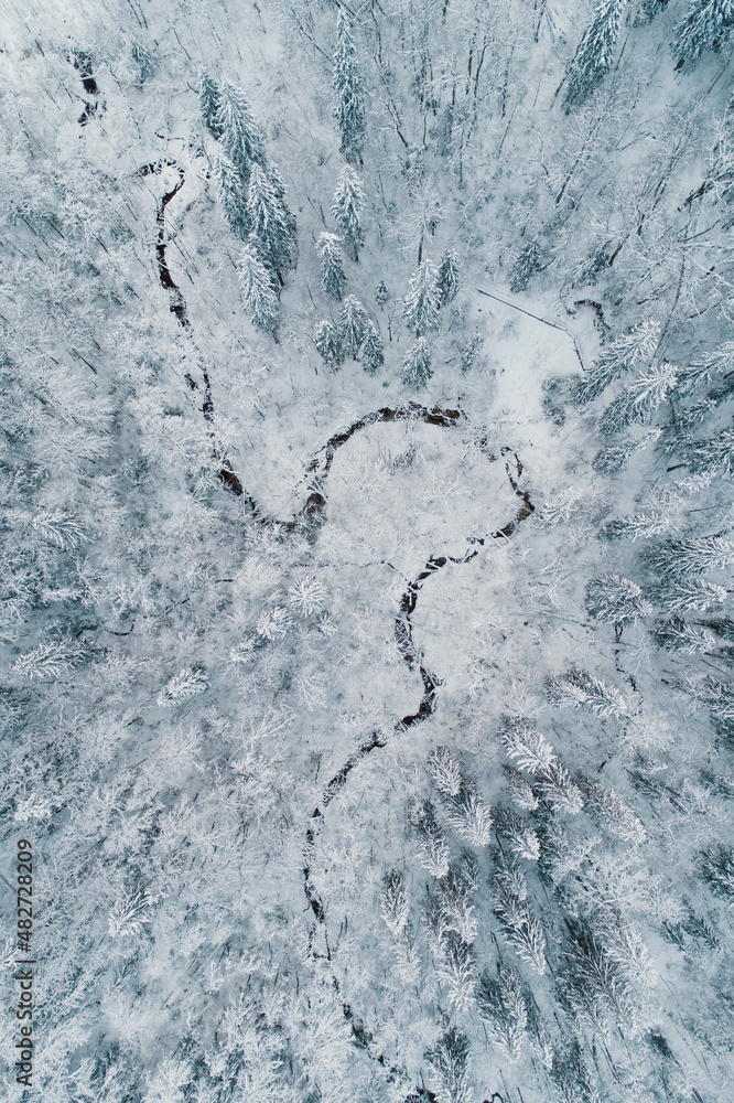 Aerial view of winter in forest with small river making turns thought the trees