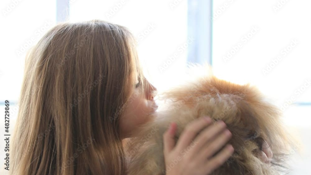 Cute child playing with his dog friend on the window Cute child playing with his dog friend on the window