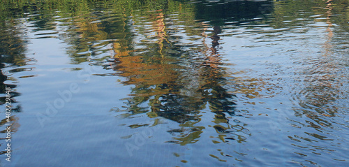 Palm Reflection