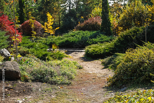 Panorama of beautiful autum...