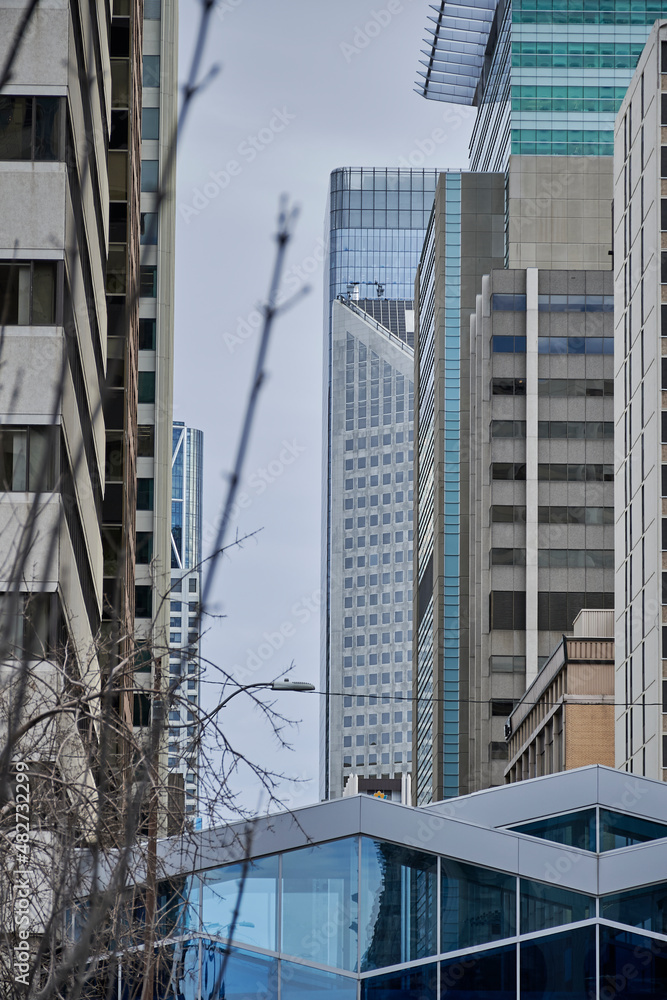 Fototapeta premium Downtown of calgary elegant high-rise buildings