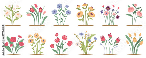 Spring forest and garden flowers isolated set. Garden flowerbeds and green grass pack on white background. Tulips, daisies, and plant branches with leaves. Illustration of wildflower spring and summer