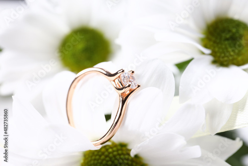 Elegant diamond engagement ...