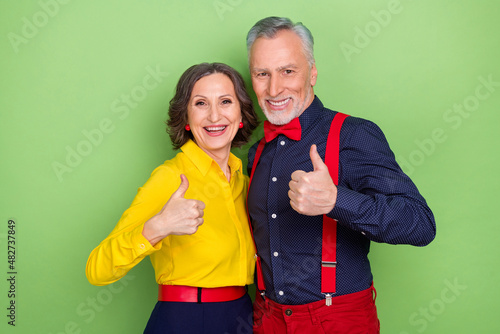 Portrait of two positive elderly partners hand finger show thumb up isolated on green color background