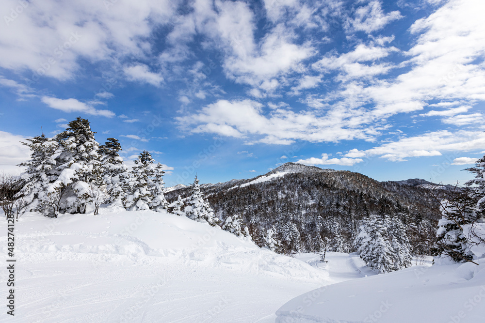 冬の志賀高原の樹氷