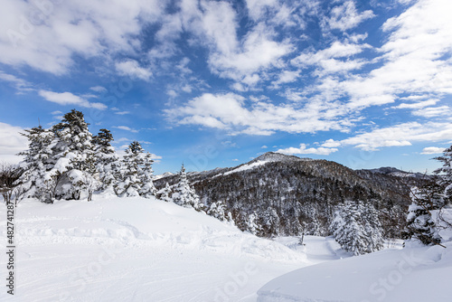 冬の志賀高原の樹氷