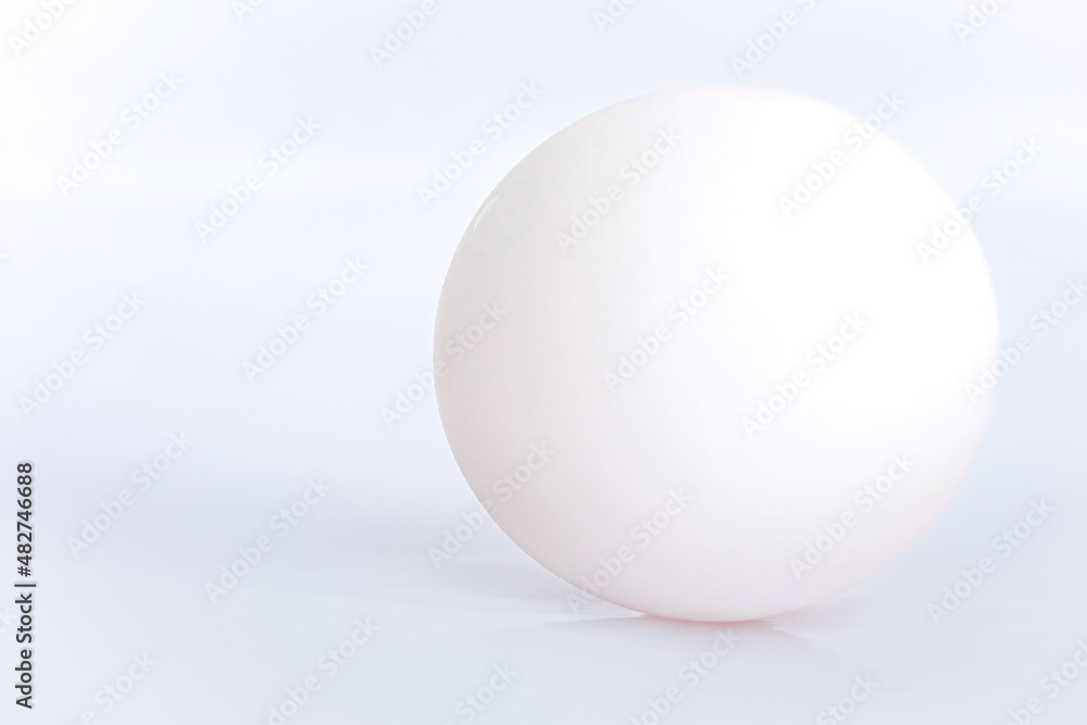 Egg on White Background Egg on White Background
