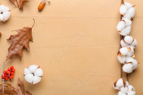 Cotton flowers and beautiful autumn decor on color wooden background