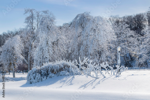  Winter landscape in a snow-covered park after a heavy snowfall and freezing rain. 