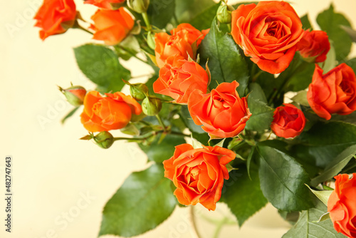 Bouquet of beautiful orange roses on yellow background, closeup