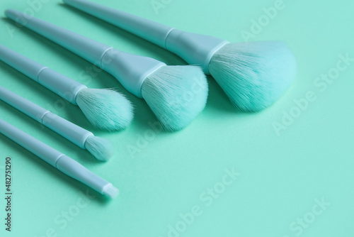 Professional makeup brush s...