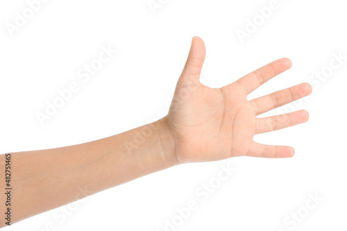 Child's palm on white background