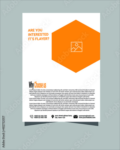 Flyer  Layout design template.Modern Business flyer. corporate flyer. illustration vector in A4 size