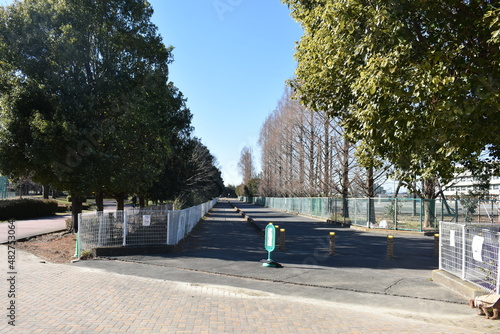 地方の名所 埼玉県 白岡総合運動公園