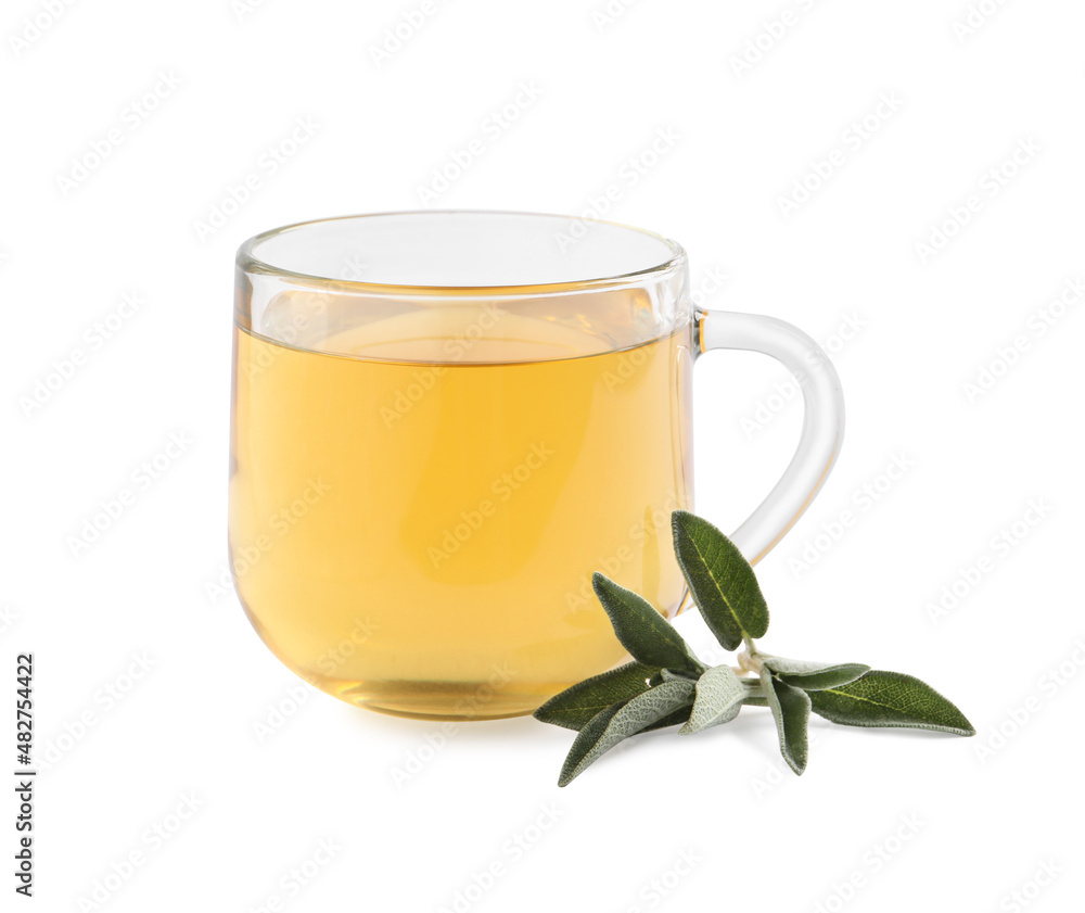 Cup of aromatic sage tea and fresh leaves on white background Cup of aromatic sage tea and fresh leaves on white background