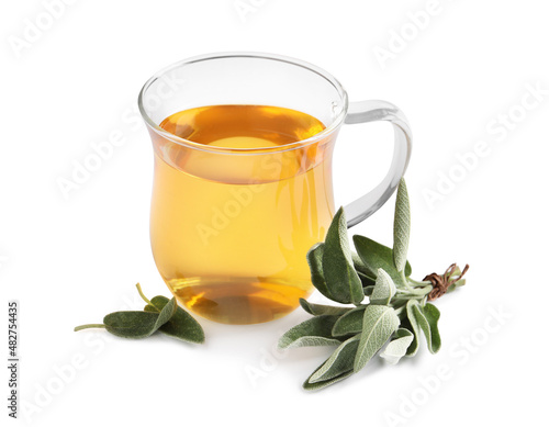 Cup of aromatic sage tea and fresh leaves on white background