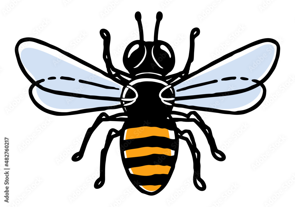 Hand-drawn honey bee illustration Hand-drawn honey bee illustration