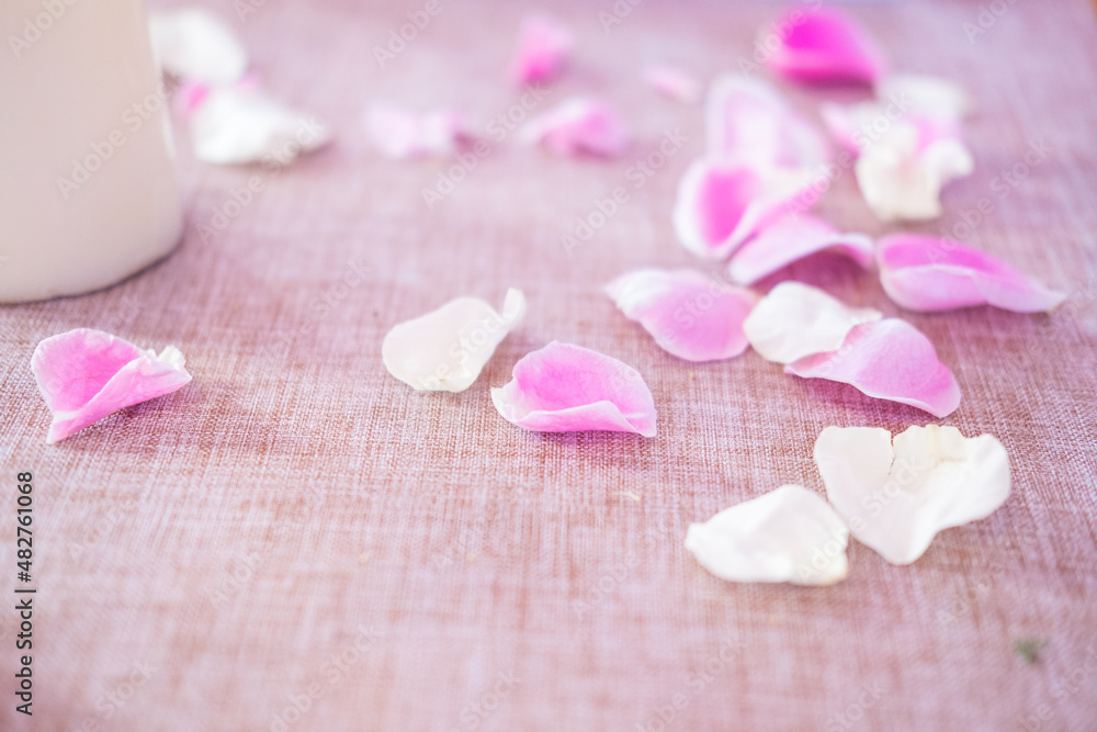 Pink and white rose petals were scattered on the floor.