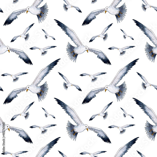 Watercolor drawing pattern of a realistic seagull. Seamless repeating print of stylized seagulls. Nautical background with minimalist ornament. Sea life, flying birds. Isolated on white background.