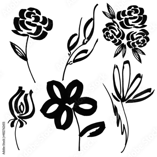 Markerblack white flower with leaves hand drawn line stroke pattern watercolor set