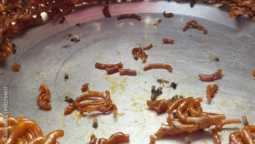 Honey Bees On Sweet Dish With Broken Pieces Of Orange Jalebi In Shop Front, Close Up Shot