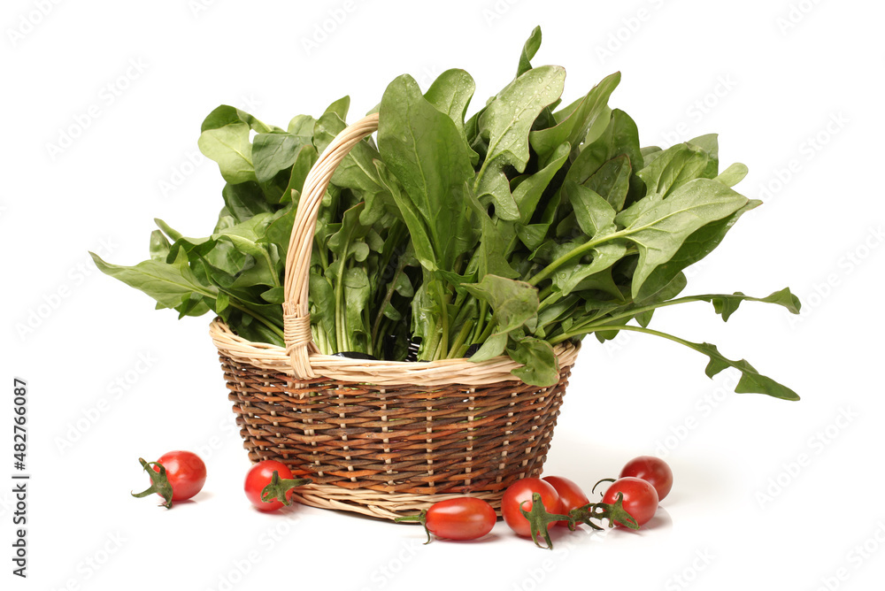 Spinach on white background Spinach on white background