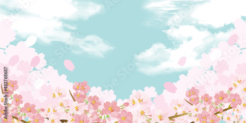 桜の背景イラスト 空