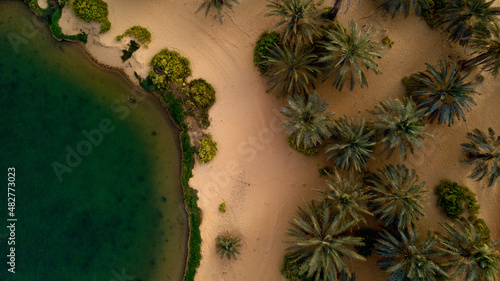 Photography Desert Oasis