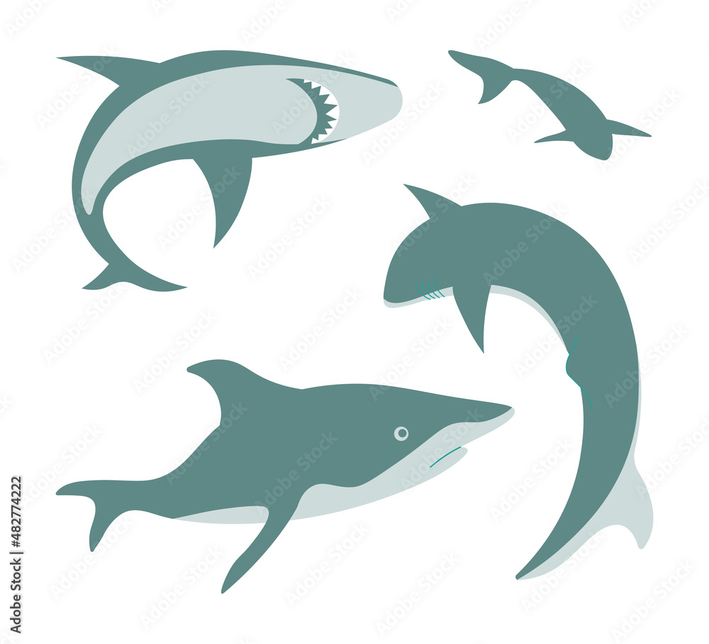 Fototapeta premium Set of grey sharks isolated on white background