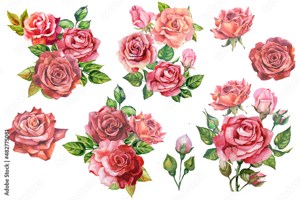 set of watercolor roses bouquets