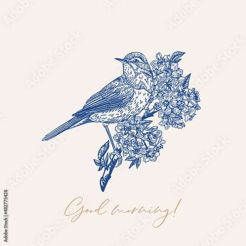 Blossoming cherry branch and bird. Blue.