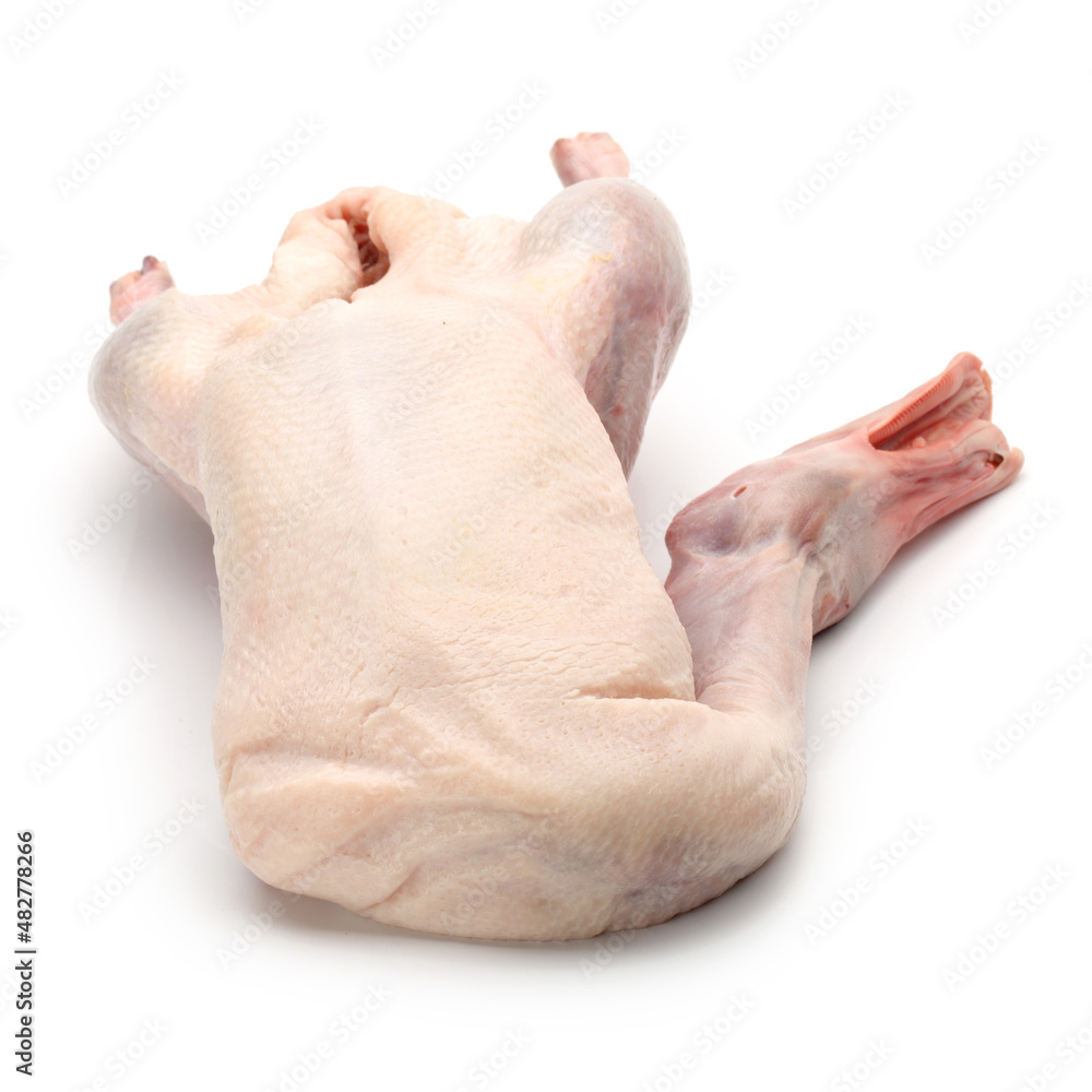 Raw duck isolated on white background Raw duck isolated on white background