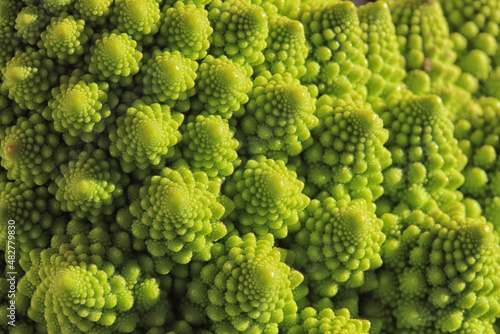 Geometries of Romanesco broccoli, excellent food