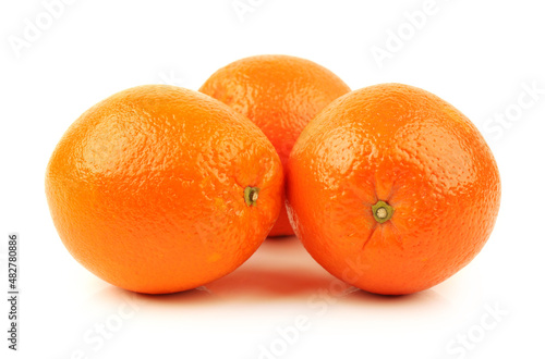 Orange fruit on the white background  photo