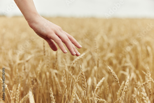 Woman hands countryside industry cultivation sunny day