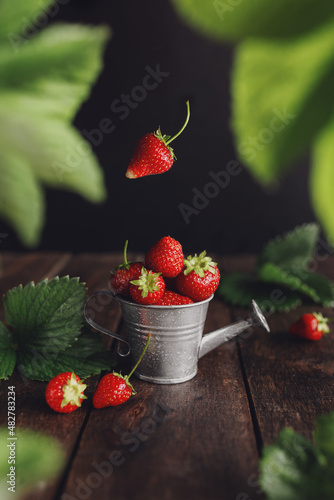 Fresh wet sweet strawberries levitation in watering can on wooden background table  black wall  green leaves  water drops. Freshness  summer concept wallpaper. Eco  bio farm fruits concept in low key