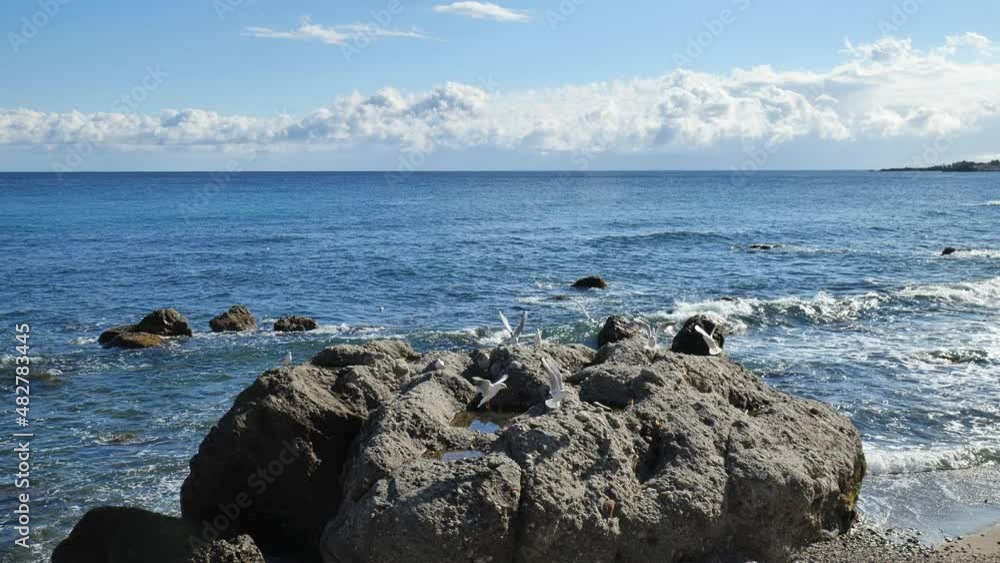 Swarm of seagulls flying close to pebble beach of Ionian sea. Flock of young gulls on the seaside. Beauty in nature.
Swarm of seagulls flying close to pebble beach of Ionian sea. Flock of young gulls on the seaside. Beauty in nature.