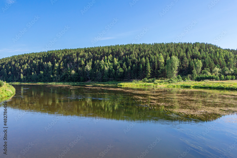 Wide river flows in countryside on sunny summer day. Nature landscape. Blooming algae pond...