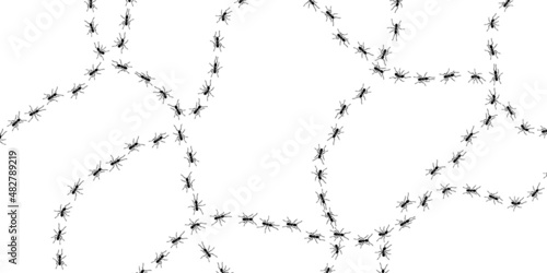 Worker ants trail line flat style design vector illustration isolated on white background. Top view of ants bug road trail marching in the line row. Pest control or insect searching concept.