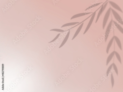 ピンク色の壁に映る葉の影の背景イラスト