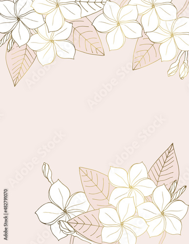 Luxury design Plumeria flowers for background, banners, posters, covers, greeting cards. Tropical flowers line art on a pink background.