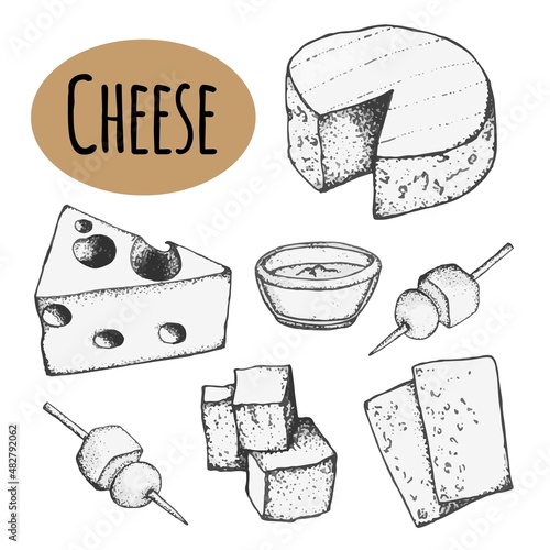 vector set of cheese. Hand-drawn ink drawing, cheese slices. Restaurant menu design.