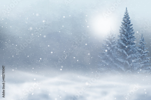 Winter christmas new year background, tall beautiful fir trees, pines, blurred background, flying snow, blizzard, 3d rendering
