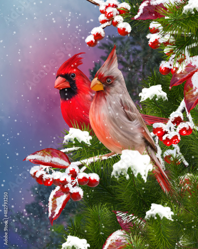 New year christmas festive background, two bright red cardinal birds sit near the birdhouse, feeders on a green spruce branch, snowfall, evening lighting, 3d rendering