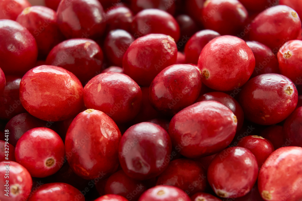 Red ripe cranberries food background with selective focus Red ripe cranberries food background with selective focus