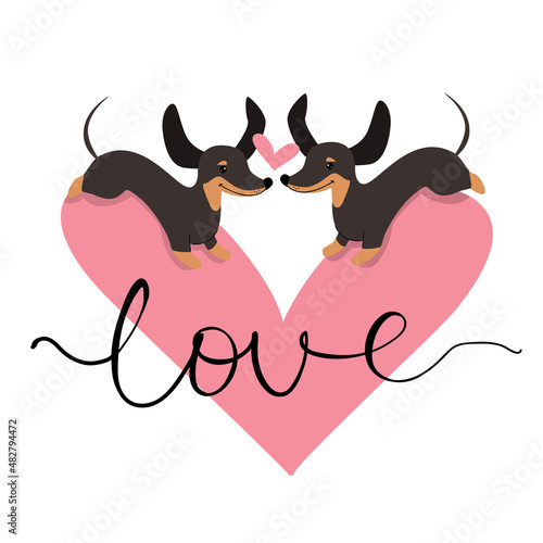 Two dachshunds in love, a heart and the inscription love on a white background. Vector illustration for valentine's day