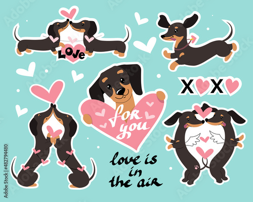 Collection of modern patch badges with dachshund dogs and hearts for valentine's day. Vector illustration